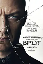 Locandina di Split